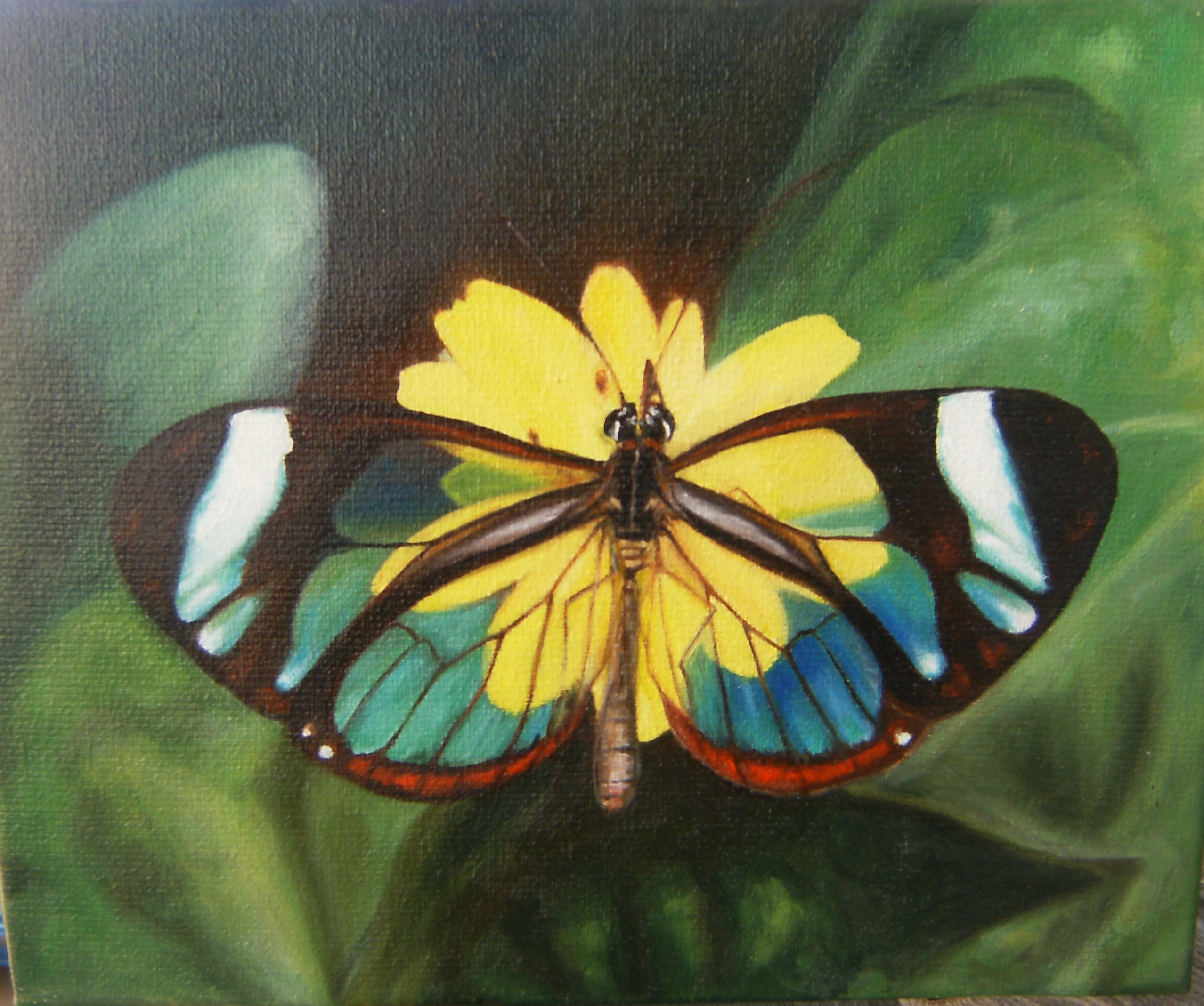 23. Serie Papillón – 3 de 9 – 23 x 27 cm. – Oleo sobre lienzo