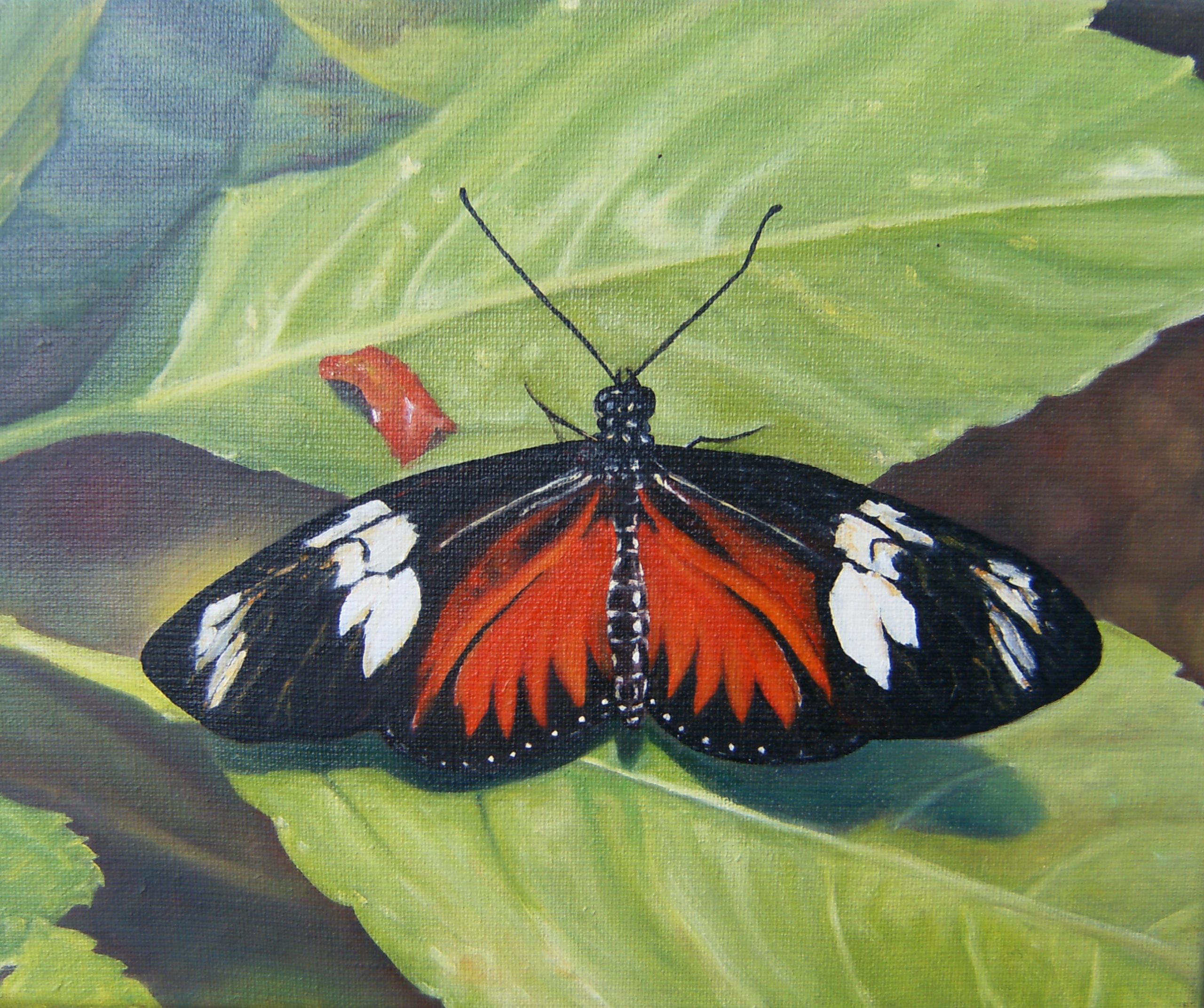 24. Serie Papillón – 4 de 9 – 23 x 27 cm. – Óleo sobre lienzo