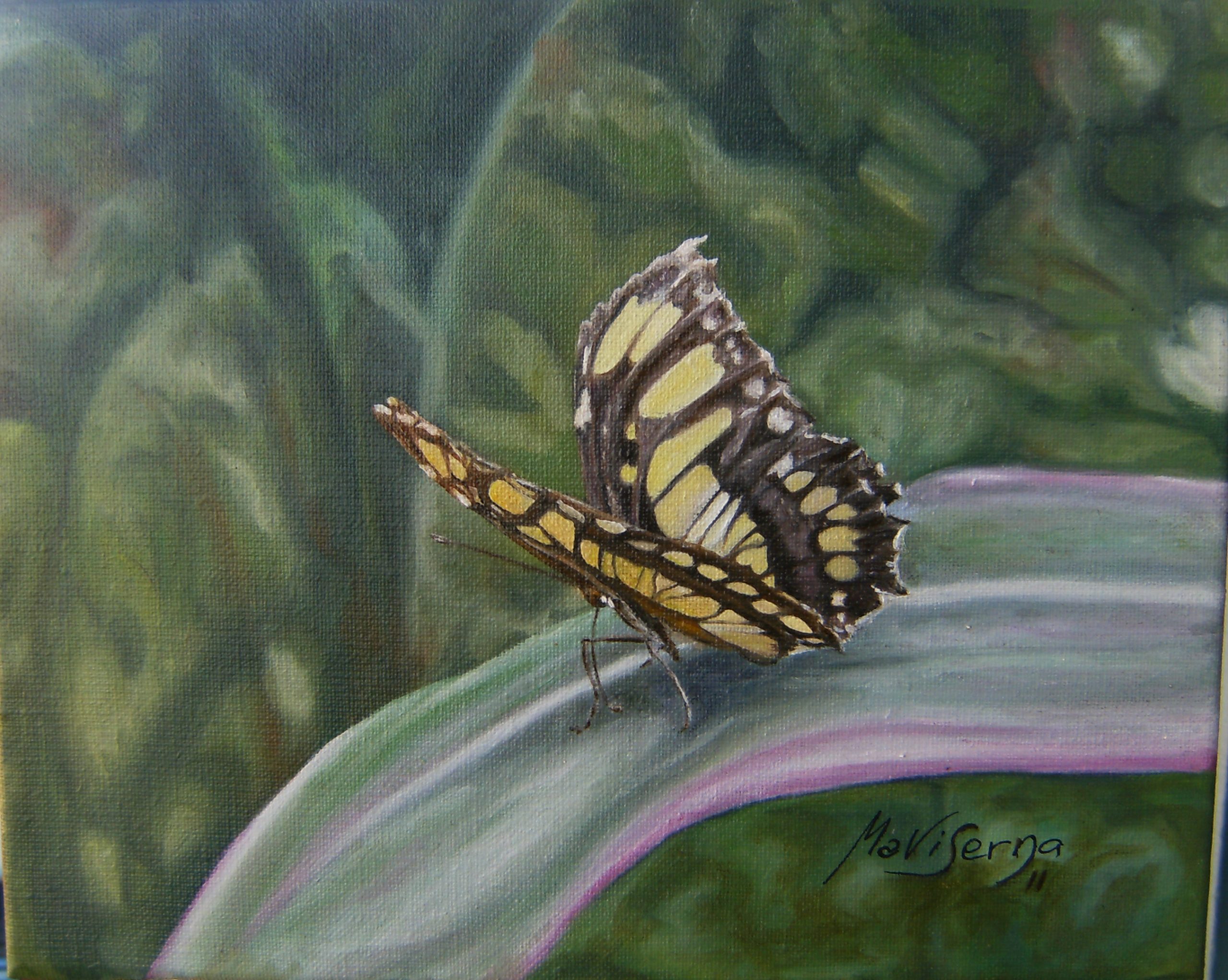 25. Serie Papillón – 5 de 9 – 23 x 27 cm. – Óleo sobre lienzo