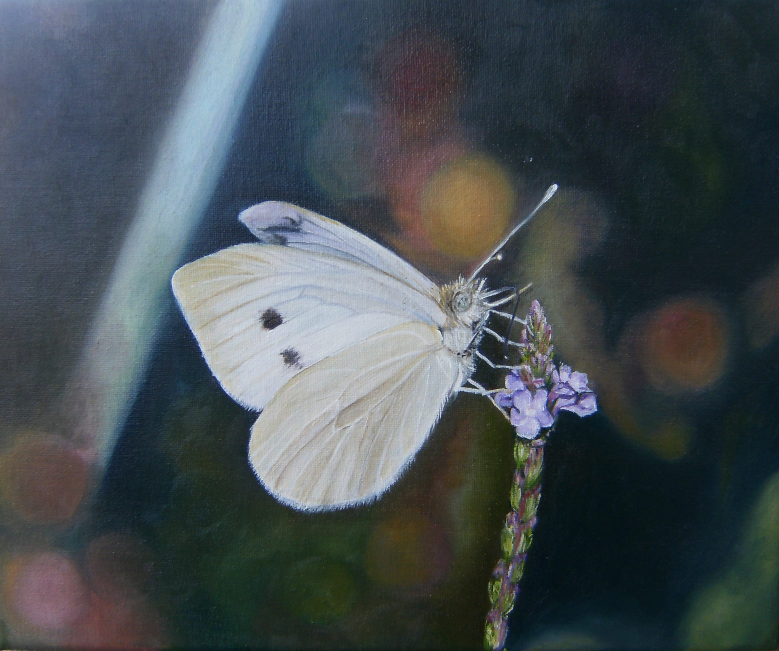 26. Serie Papillón – 7 de 9 – 23 x 27 cm. – Óleo sobre lienzo