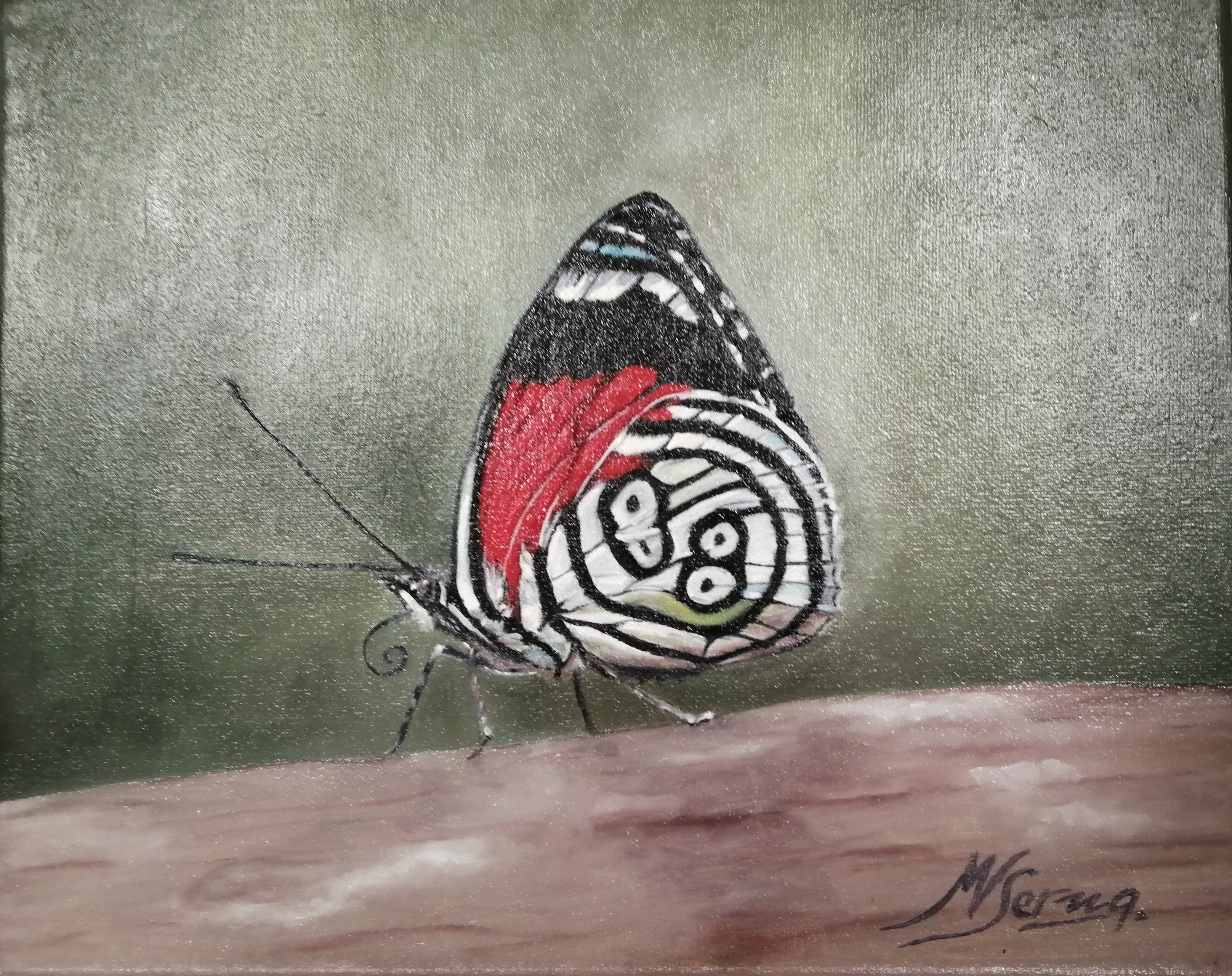 28. Serie Papillón – 9 de 9 – 23 x 27 cm. – Óleo sobre lienzo
